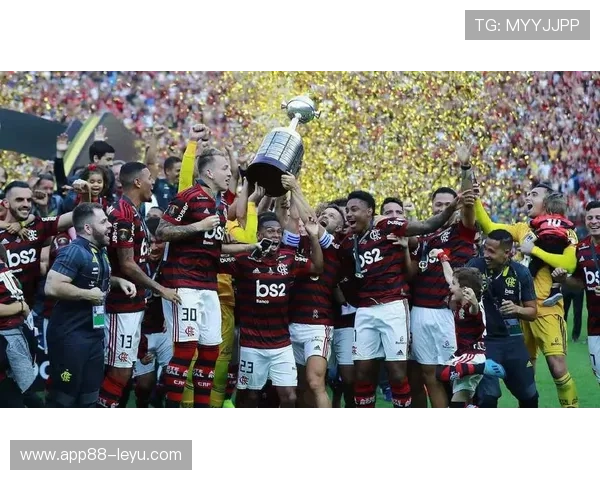 弗拉门戈巴甲豪门最新动态：阵容调整，迎战新挑战！