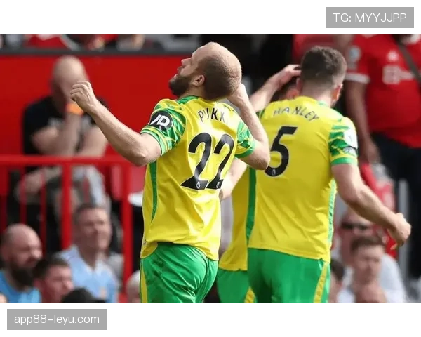 诺维奇黄绿军团强势逆转，状态回暖斩获关键胜利