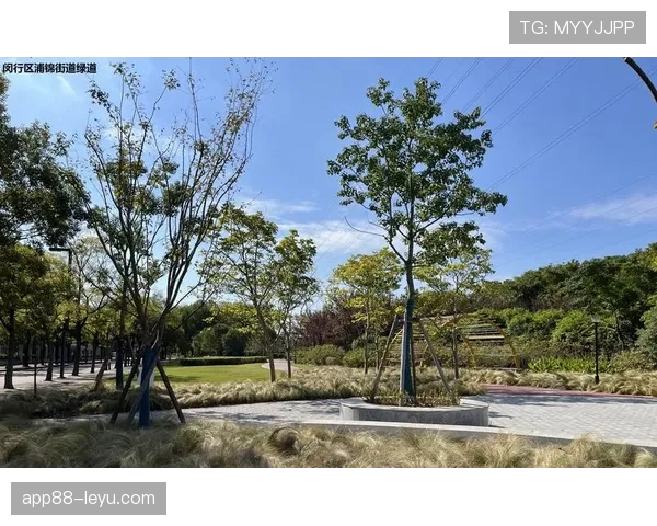 布莱克本伊伍德公园持续重塑社区环境,绿色空间提升生活品质吸引民众参与 布莱克本伊伍德公园持续重塑社区环境,绿色空间提升生活品质吸引民众参与